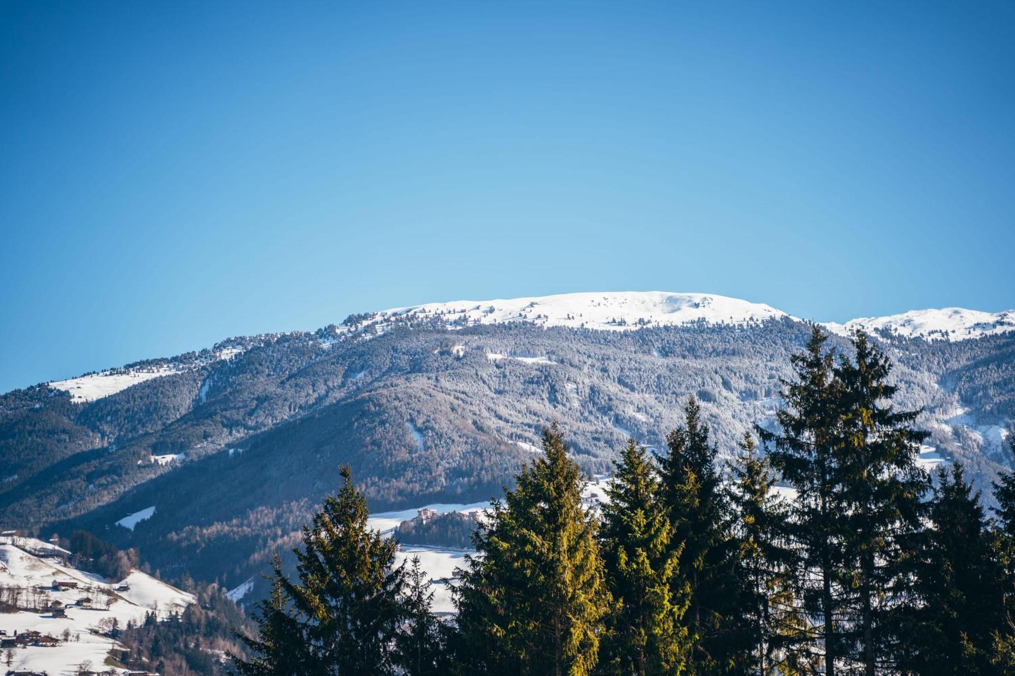 Chalet Wildruh Ried im Zillertal Eksteriør bilde