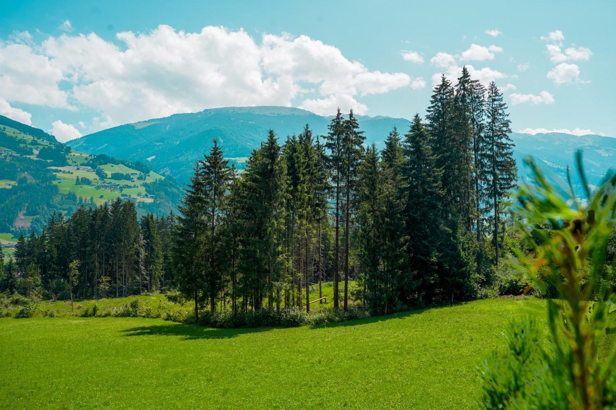 Chalet Wildruh Ried im Zillertal Eksteriør bilde
