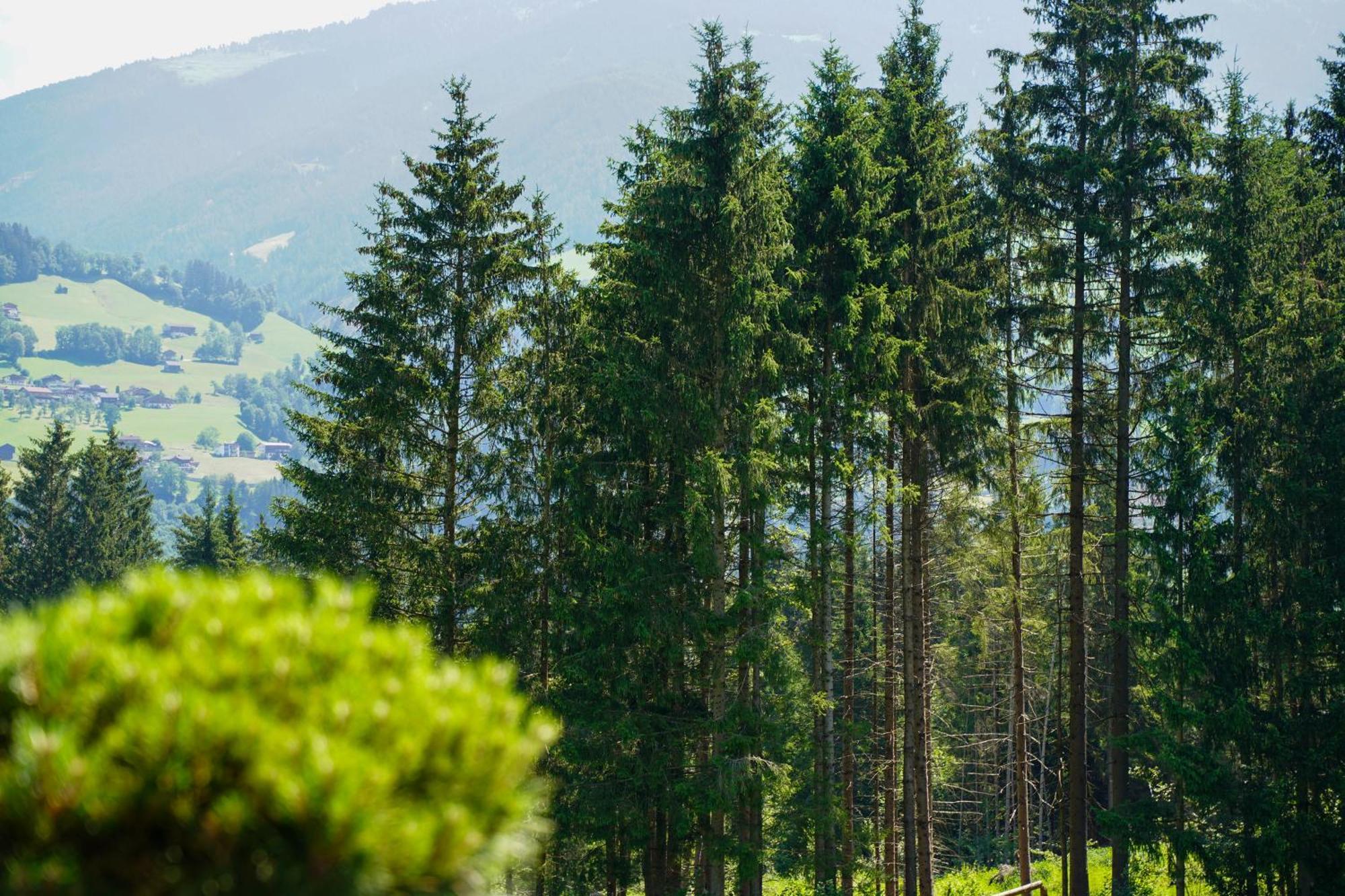 Chalet Wildruh Ried im Zillertal Eksteriør bilde